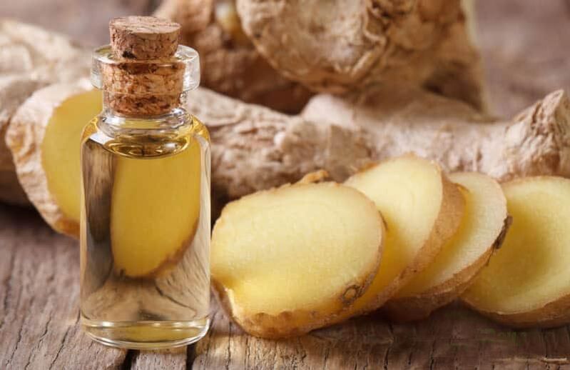 Tingtur dari akar jahe terhadap parasit