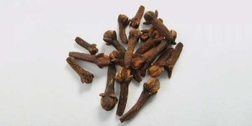 cengkeh melawan cacing